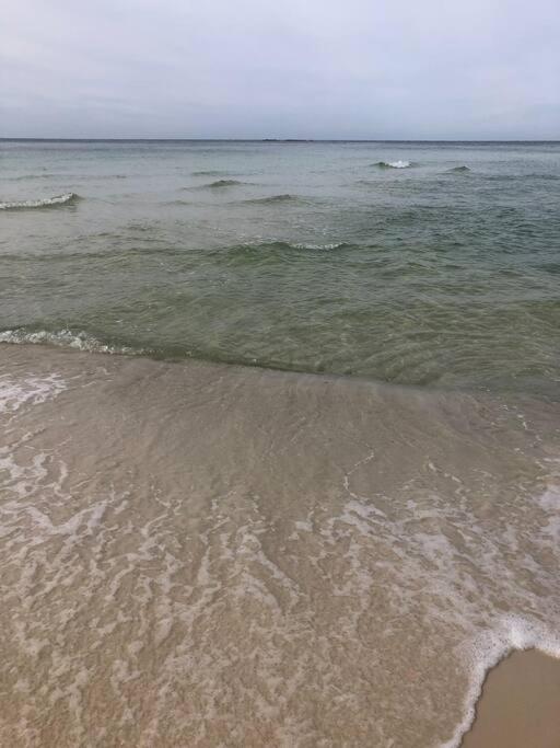 شقة Happy Heron, Steps To Beach بنما سيتي بيتش المظهر الخارجي الصورة